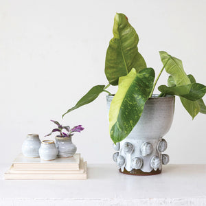 A white ceramic pot with textured knobs holds a lush green plant with cascading leaves. Nearby, a CREATIVE COOP TERRACOTTA GLAZED VASE - MEDIUM sits on stacked books, providing warm contrast against the plain white background.