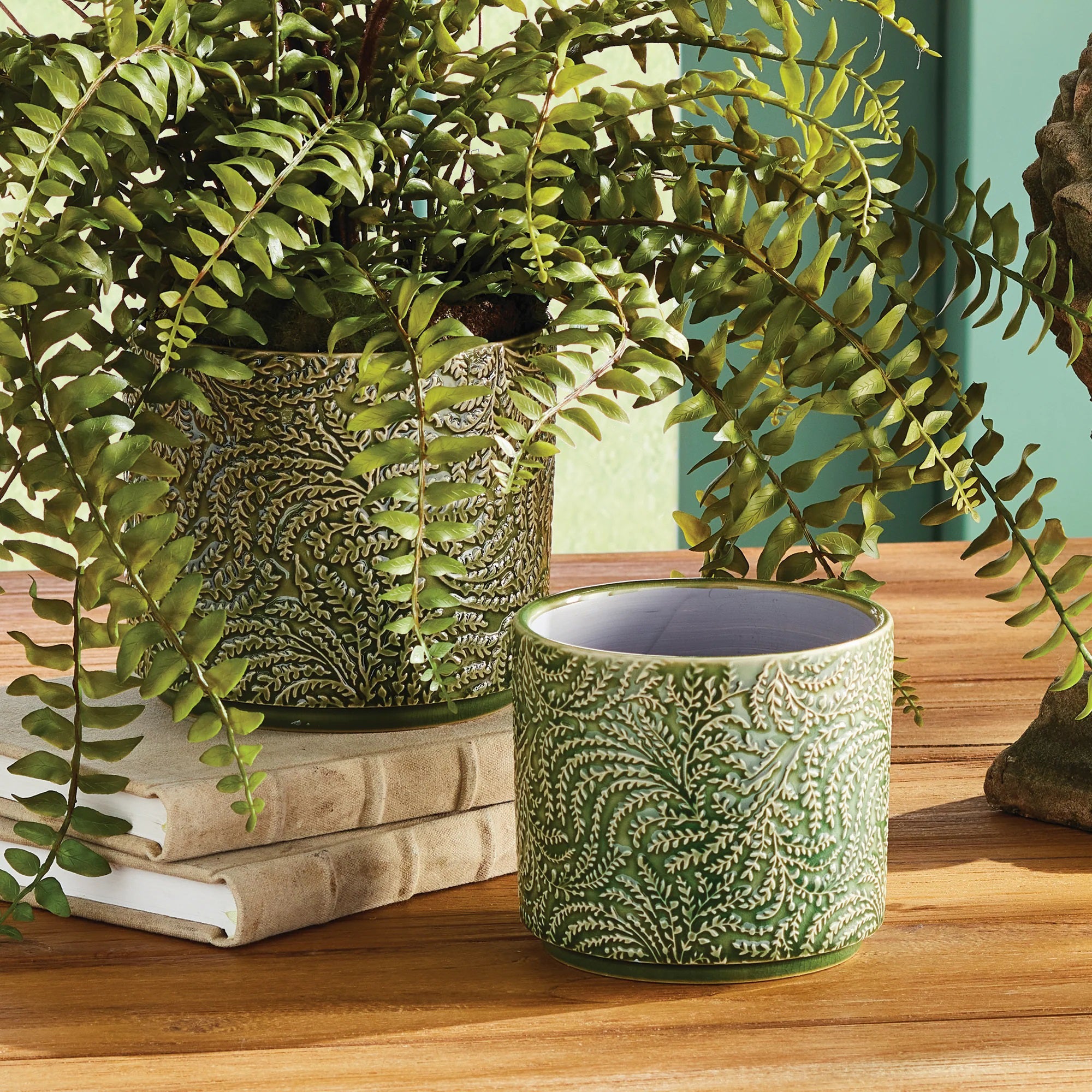 A green fern fills the NAPA HOME AND GARDEN - IVANA POT SMALL, featuring a vine and leaf motif, placed on a wooden table beside two books with similar leafy designs. The green wall backdrop enhances the natural, fresh vibe.