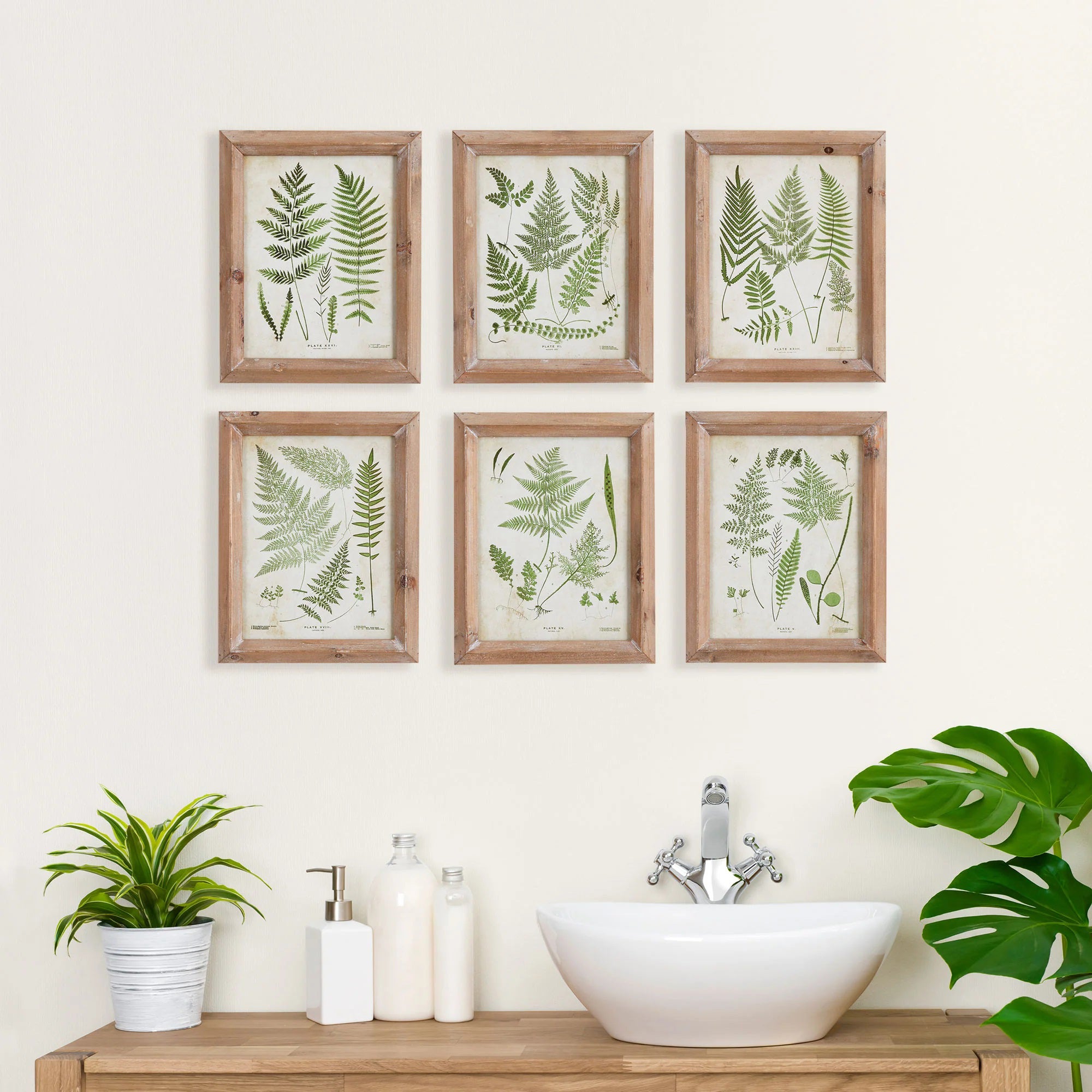 A bathroom features a wooden countertop with a white vessel sink, shiny faucet, two soap dispensers, and a potted plant on the left. Six framed NAPA HOME AND GARDEN - ASSORTED FROND STUDY PETITE prints showcasing elegant ferns are arranged in two rows on the wall above.