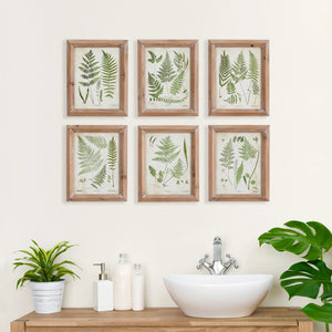 The NAPA HOME AND GARDEN - ASSORTED FROND STUDY PETITE offers six rustic wooden-framed prints perfect for fern lovers, displaying detailed green leaves and frond studies on a beige background, arranged in two rows of three.