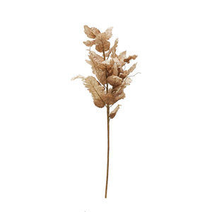 The LEAF STEM by CREATIVE COOP showcases a dried plant with brown leaves on a long singular stem, set against a white background. The cream-colored leaves exhibit a delicate, papery texture with noticeable curling and layering.