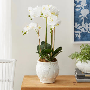 A decorative scene featuring the BLOSSOM CACHEPOT by NAPA HOME AND GARDEN, a tall white ceramic vase adorned with floral stem designs, filled with blooming white flowers on long stems. Next to it is a shorter, similarly patterned white ceramic jug on a wooden table with a gray surface, creating an elegant look.