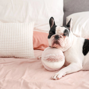 A small, curly-haired brown dog enjoys sensory play with the LAMBWOLF COLLECTIVE TOTO DOG TOY on a white, fluffy bed. The playful pup explores the toy in a bright, clean setting, reminiscent of an impromptu nosework session.