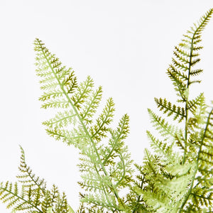 The FERN BUSH from NAPA HOME AND GARDEN is a single, wispy fern pick with multiple delicately feathered fronds extending from a central stem. The plain white background highlights the intricate details of this realistic decor item, making it perfect for interior use.