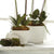 Three white ceramic Sinclair Cachepots from Napa Home and Garden are displayed side by side. Each cachepot features a ribbed texture on the exterior. The largest is in the middle, with the medium-sized one on the left and the smallest on the right, offering contemporary selections for a sleek look and modern touch to your kitchen.