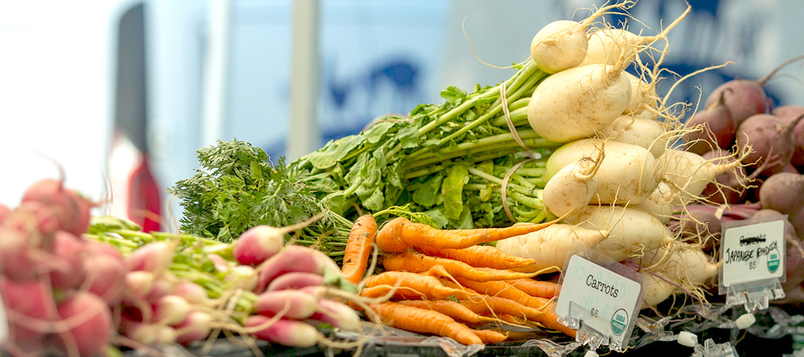 A display of fresh vegetables at a market, including bunches of carrots, white turnips, and radishes with leafy tops, arranged on a table with small hand-written produce signs.