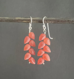 A pair of ANN LIGHTFOOT - CAMELIAN LEAF PETAL EARRINGS featuring sterling silver earwires with clusters of small, leaf petal-shaped beads in a vibrant coral color. The earrings are hanging on a dark, horizontal rod against a plain gray background.