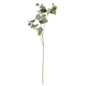 A single, tall SILVER DOLLAR EUCALYPTUS branch from NAPA HOME AND GARDEN features small round green leaves and a few tiny white buds, isolated on a white background. The slender stem branches out into smaller stems with foliage, creating realistic home decor that captures the natural beauty of Napa California.