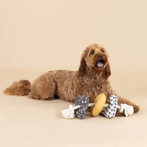 ROPED IN CANVAS DOG TOY