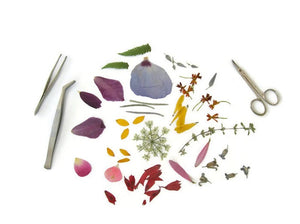 The KNIT AND PURL GREETING CARD by PETAL PEOPLE PRESS features an artful arrangement of vibrant dried flower petals, leaves, and stems on a pristine white background. A delicate skeleton leaf enhances its enchanting appeal, with the presence of tweezers and small scissors hinting at a whimsical crafting or botanical project.