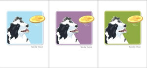 The PAPER RUSSELLS "Border Collie & Frisbee" note card features an illustration of a Border Collie with its mouth open, eagerly looking at a flying yellow frisbee against a light blue background. The words "Border Collie" are written in small text below the illustration, and the card is printed on FSC-certified recycled paper.