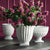 The COLUMN FOOTED URN 13 from NAPA HOME AND GARDEN is a white ceramic planter featuring a ribbed texture and a flared top. Handcrafted by skilled artisans, it boasts a slightly tapered base resting on a square platform, making it perfect for decorative interior use. The lighting highlights its smooth, glossy finish beautifully.