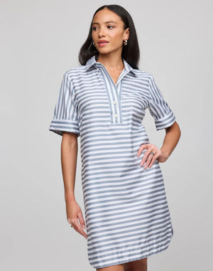 A woman in the HINSON WU Aileen Stripe and Gingham Dress, made from 100% cotton, stands against a plain backdrop. The dress features short sleeves and a collar. Her long dark hair cascades over her shoulders as she gazes directly at the camera.