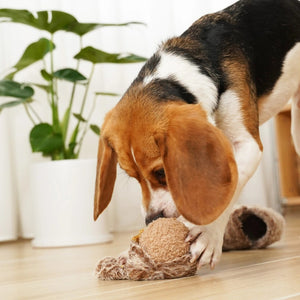 Pictured against a white background is the LAMBWOLF COLLECTIVE - SQUIRREL POP DOG TOY from LAMBWOLF COLLECTIVE. This fluffy, brown canine toy features a design resembling a squirrel's tail and round body. With its fuzzy texture and small ears, it exudes a cute and playful appearance.