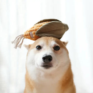 A Shiba Inu dog looks directly at the camera with a neutral expression, balancing the LAMBWOLF COLLECTIVE's Corn plush toy from their CORN & LEEK SET on its head. The softly lit white background provides a light, clean backdrop, highlighting the playful scene.