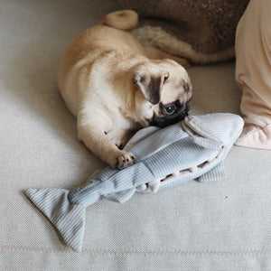 A person's hand places a small treat inside a soft LAMBWOLF COLLECTIVE - TROUT DOG TOY, shaped like a shark, which is laying on a carpet. Nearby, a dog's paw and part of its nose are visible, suggesting the dog eagerly waiting to engage with this enrichment play object from LAMBWOLF COLLECTIVE.