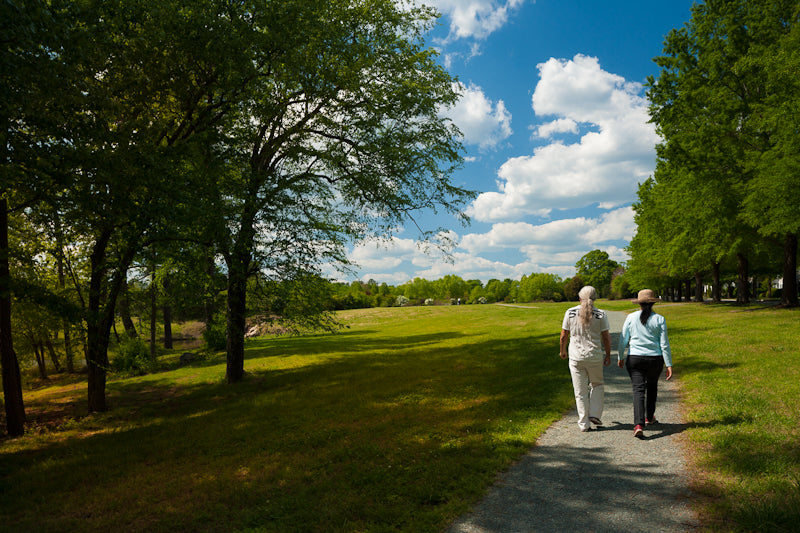 Two people walk side by side on a paved path through a grassy park, surrounded by green trees under a blue sky with scattered white clouds.
