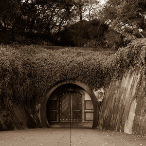 Experience a breathtaking vineyard scene at sunrise during the Wine Dinner: Rudd Estate on October 24, hosted by FEARRINGTON VILLAGE. Rows of grapevines converge towards the center, as fog gently blankets Napa Valley and the surrounding forested hills, creating a dreamy ambiance. The soft golden light adds warmth to the tranquil morning landscape of Rudd Estate, expertly maintained under winemaker Natalie Bath's care.