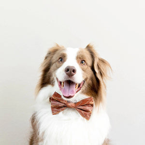 The DOG BOW TIE (STANDARD, ST. FRANK CHEVERON KILIM) by THE FOGGY DOG is a stylish accessory made from rust-colored, textured fabric featuring a white zigzag pattern. This American-made dog bow tie is neatly tied to showcase its elegant design and composition against a solid white background, emphasizing the detailed patterns and rich color.