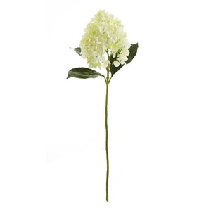 The NAPA HOME AND GARDEN - CONE HYDRANGEA, with its light green bloom and dark green leaves, elegantly enhances any decor, especially against a crisp white background. Ideal for interiors, this realistic piece is perfect for complementing your space.