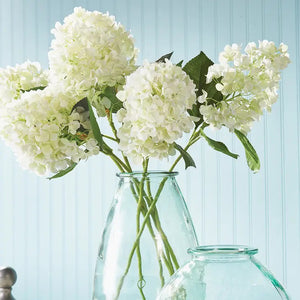 The NAPA HOME AND GARDEN - CONE HYDRANGEA, with its light green bloom and dark green leaves, elegantly enhances any decor, especially against a crisp white background. Ideal for interiors, this realistic piece is perfect for complementing your space.